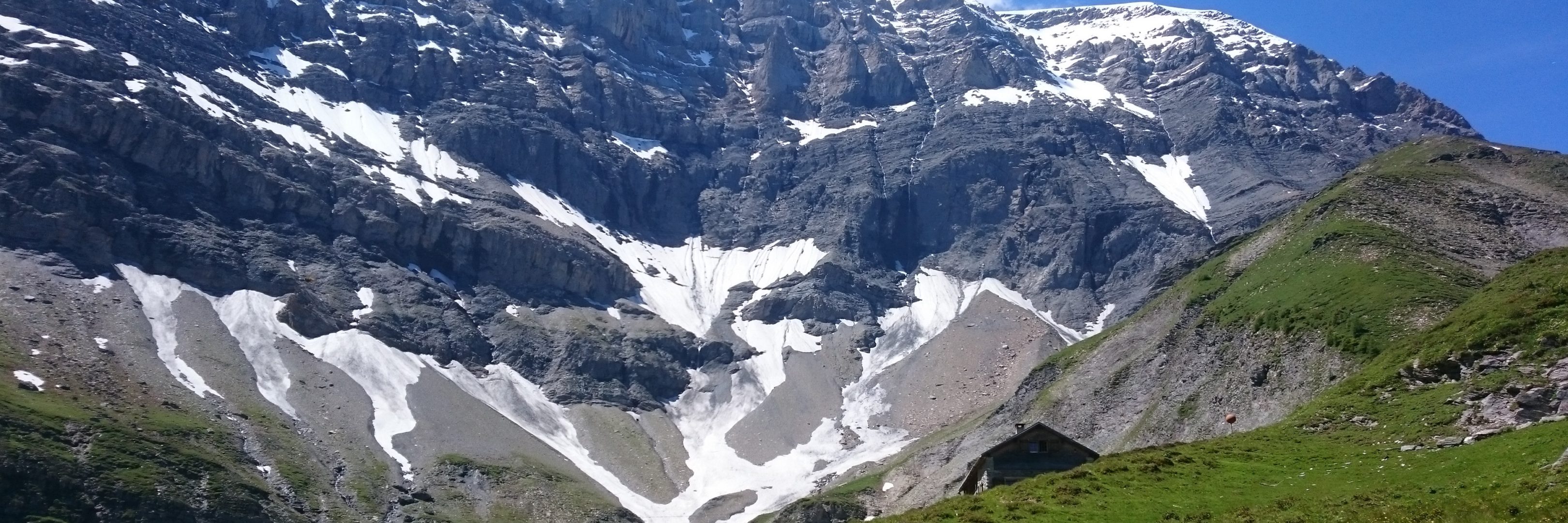 Alp Panära vor dem Ringelspitz