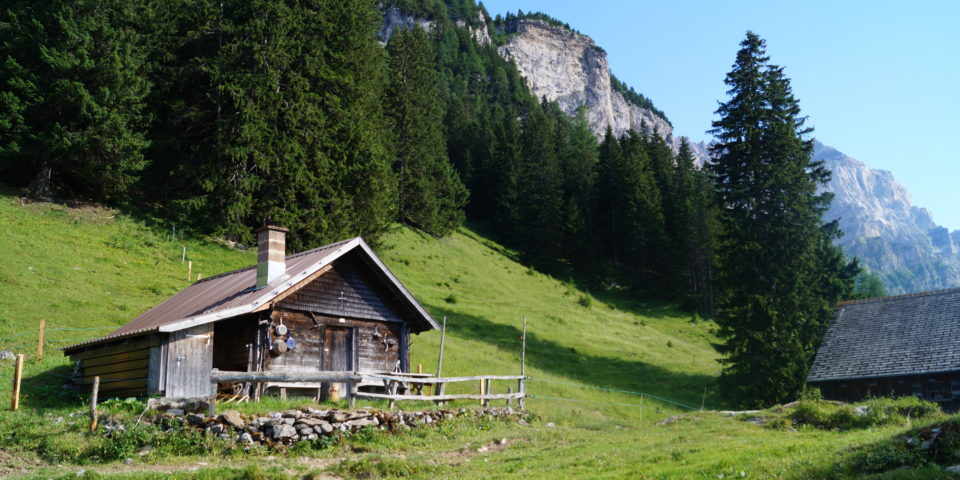 Alp Waldboden